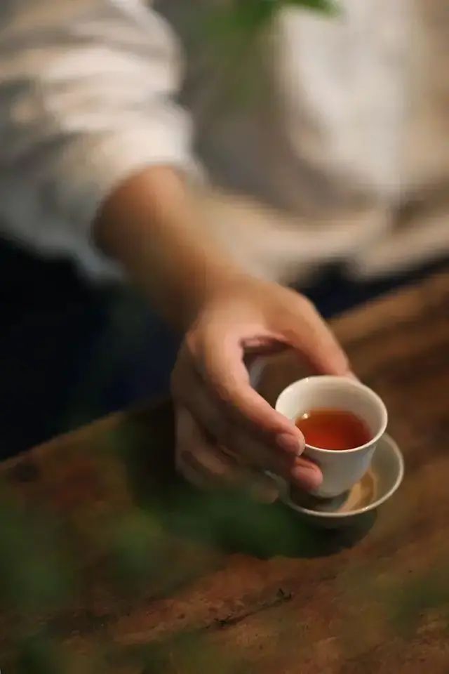 仁者乐山，智者乐水，才者乐茶