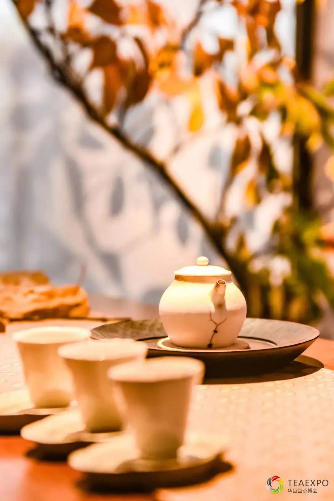 喝茶，沉浸在一人的小千世界