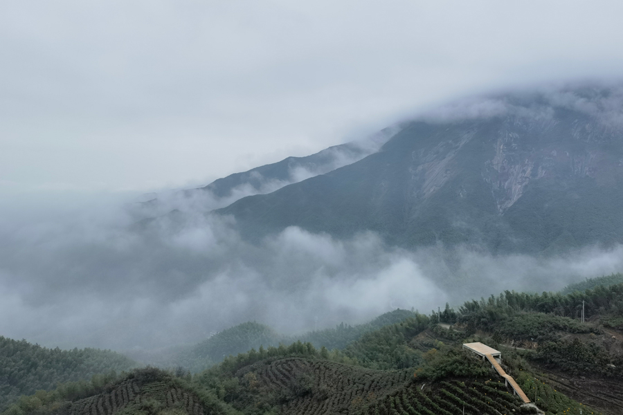 湖南：一叶茶 一片景 八百里南岳茶旅兴