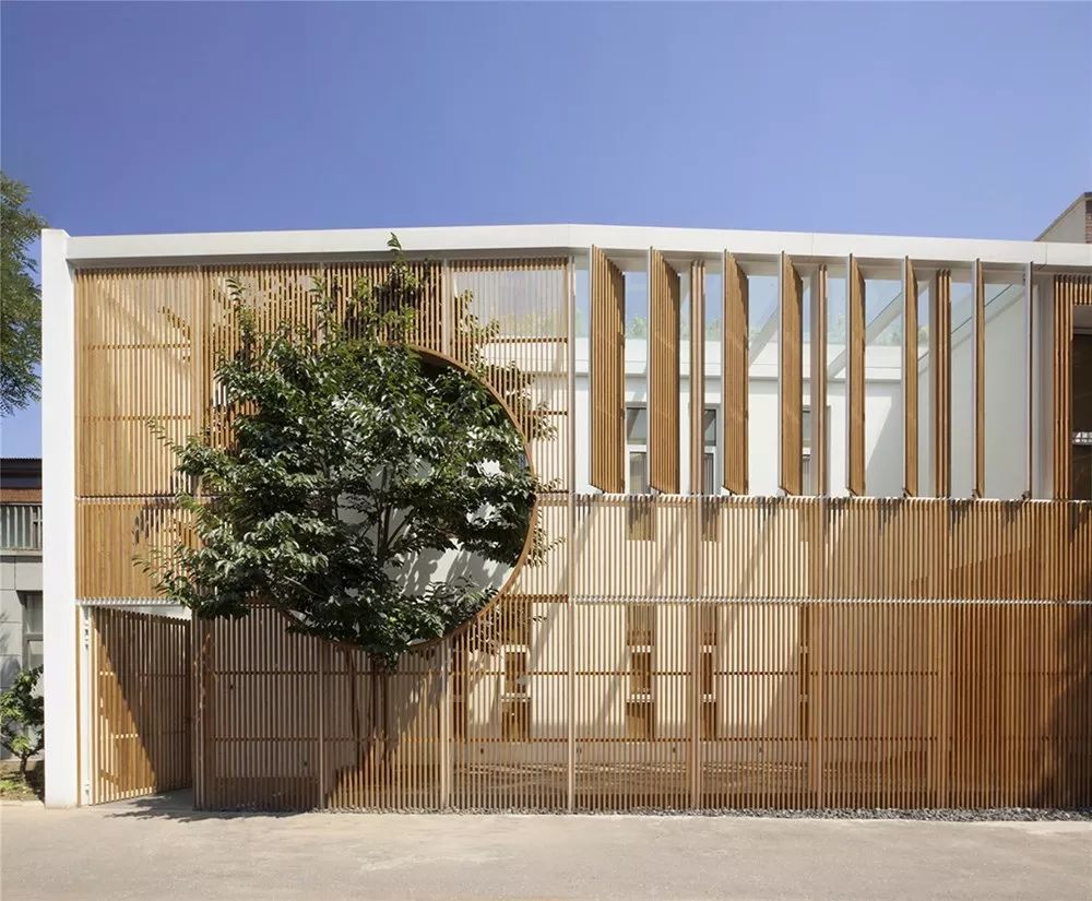 大隐隐于市，深隐隐于茶