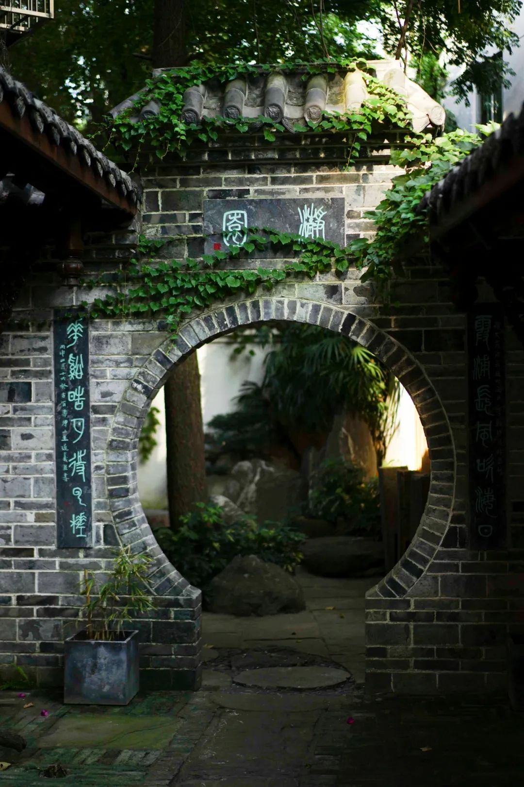 正念行茶 禅悦心静