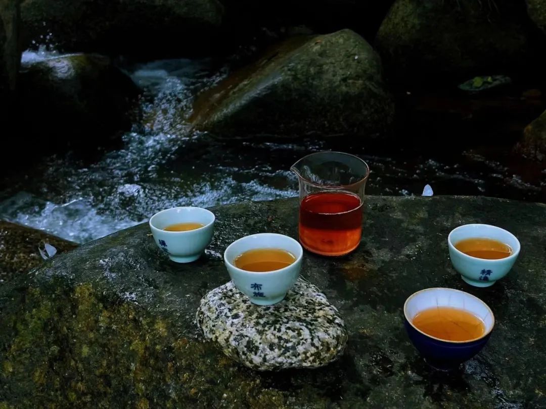 不同的年龄，喝茶也要有所不同？