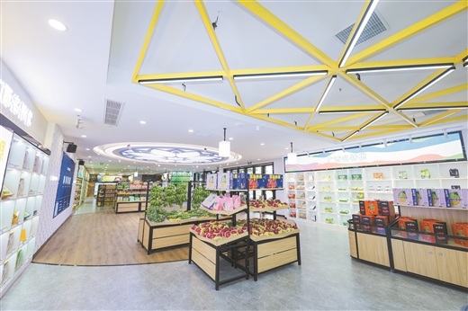 广西供销社的“蹿红”之路