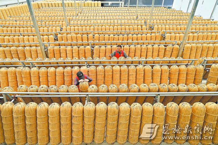 恩施：硒黑茶俏销市场