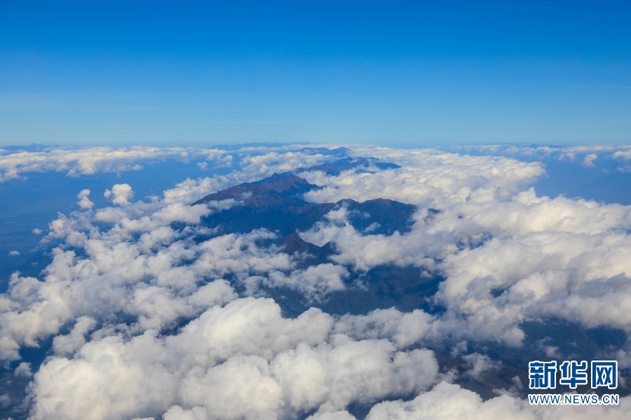 云南：探索茶产业发展新模式 茶农走出致富路