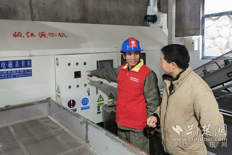 远安供电：服务茶农增收促振兴
