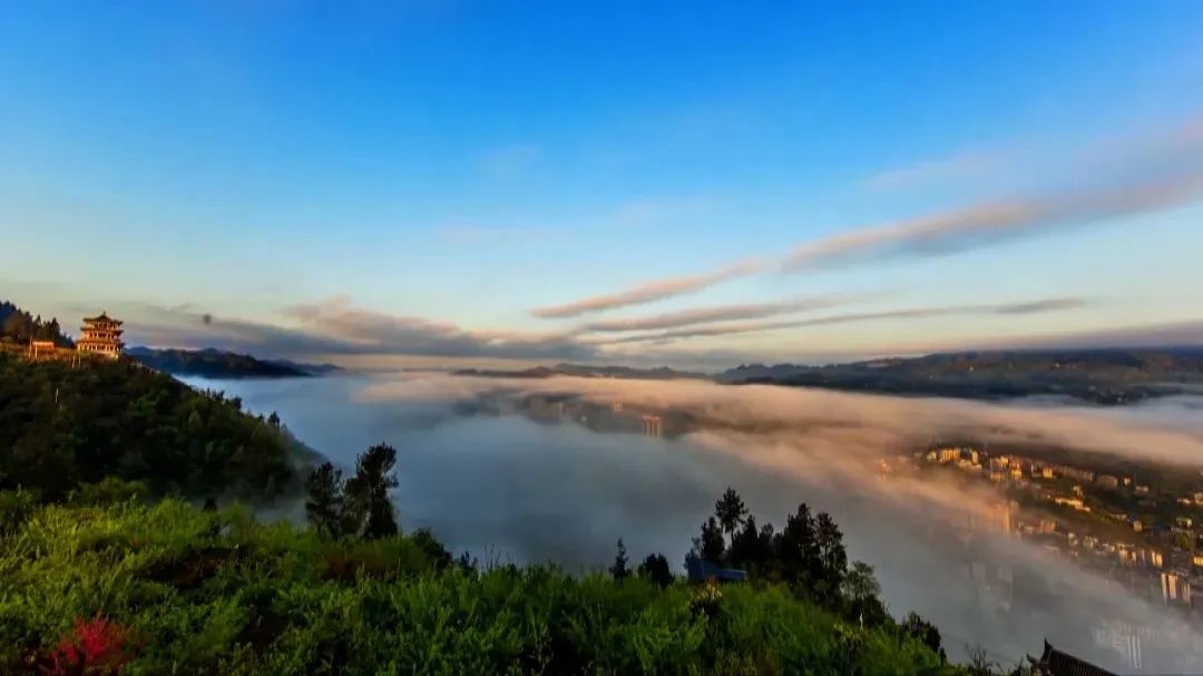 咸丰唐崖茶：世遗点亮营销　茗香“硒”引天下