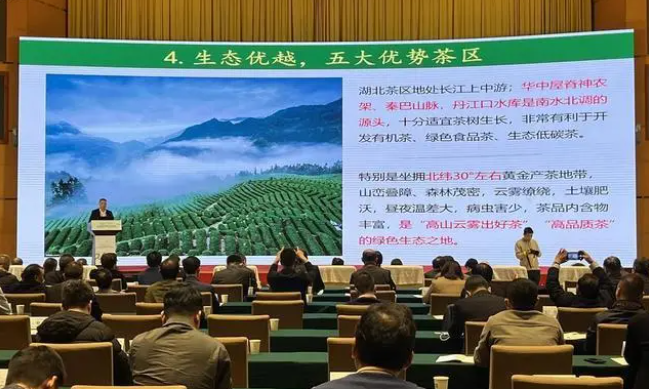 湖北获国内外有机茶认证企业数量全国第二