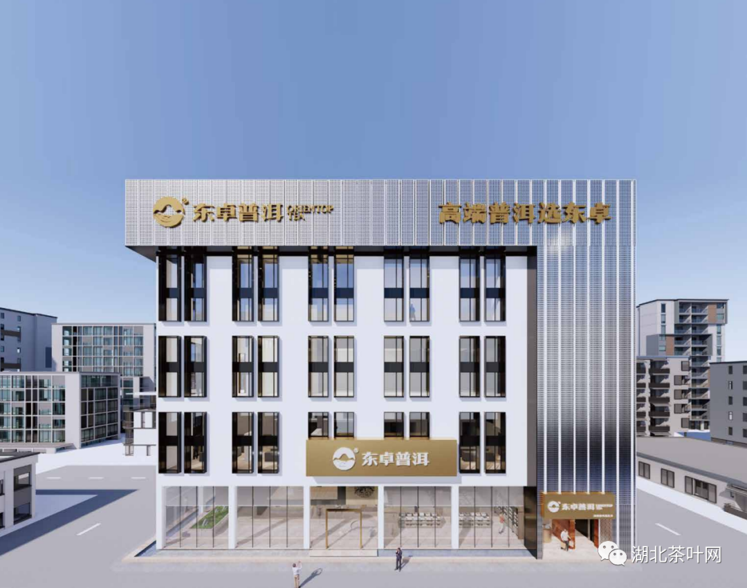 东卓普洱（品牌升级，战略升级，向市场铺开更广阔道路）