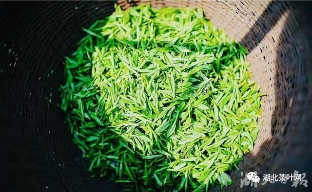 郧西神雾毛尖再获中国茶叶学会高度评价