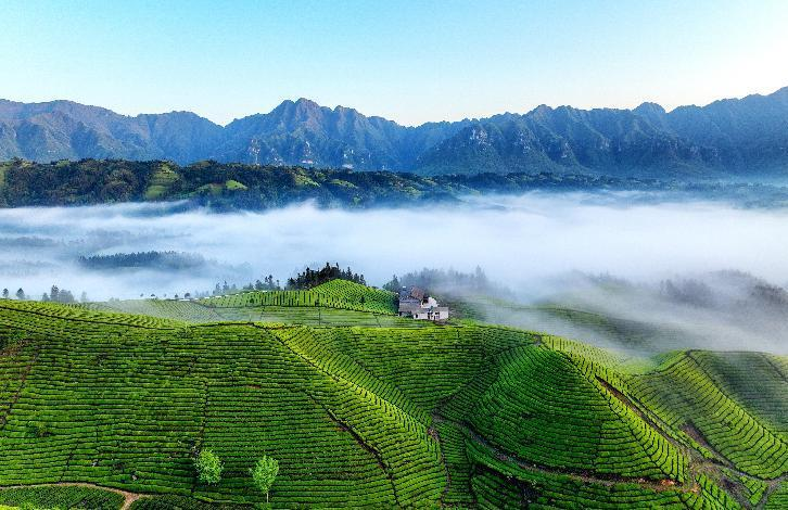 快来！5个字奖2万元