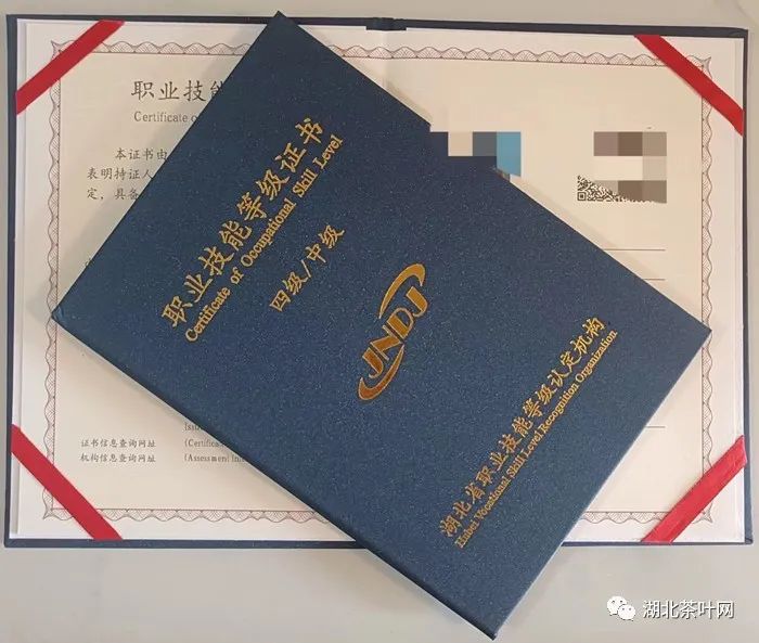 艺茗道2023茶艺班，学习正当时！（9月茶艺、评茶、茶叶加工考证报名中……..