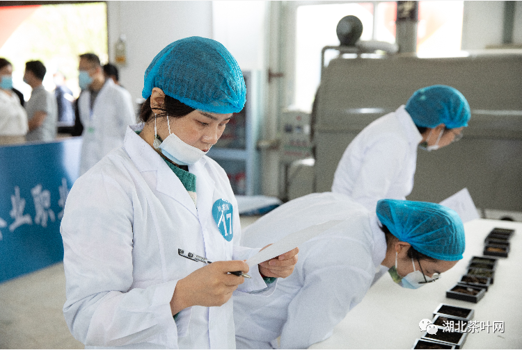 关于举办2023年“黄冈工匠杯”技能大赛——黄冈市茶业职业技能大赛的通知